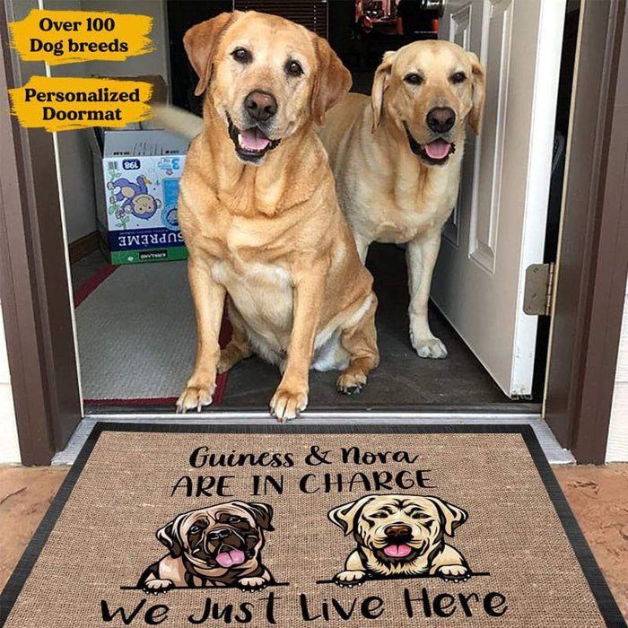 Gosszy Dogs Are In Charge We Just Live Here Doormat, Dog Lover Gift Doormat