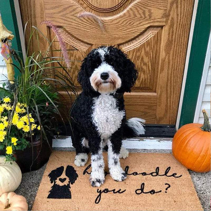 Gosszy How Doodle You Do Dog Doormat, Dog Lover Gift Doormat