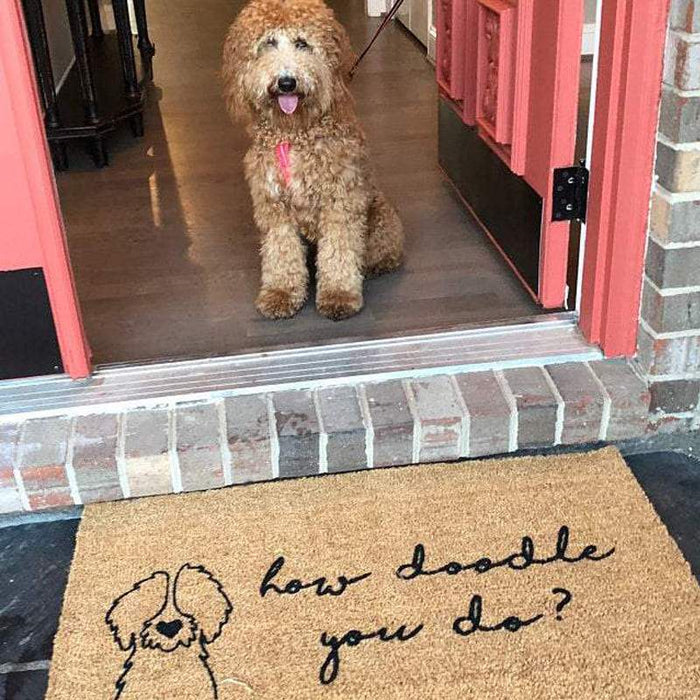 Gosszy How Doodle You Do Dog Doormat, Dog Lover Gift Doormat