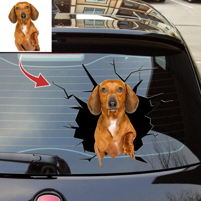 Gosszy Custom Upload Dog Image Car Sticker, Dog Lover Gift, Car Sticker 20" x 20"