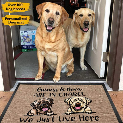 Gosszy Dogs Are In Charge We Just Live Here Doormat, Dog Lover Gift Doormat